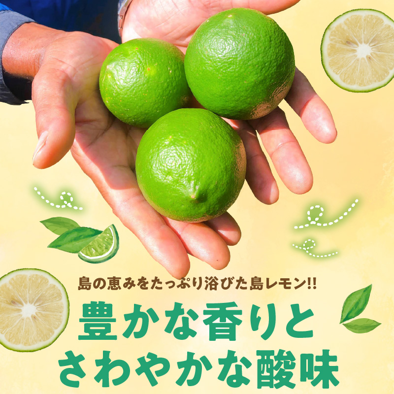 ■【先行受付】栽培期間中 農薬・除草剤・化学肥料不使用！南国の島レモン 1kg！【2026年9月～2027年2月下旬お届け】　W043-005u