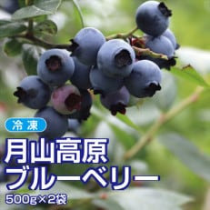 山形県月山高原産　大澤農園のブルーベリー　冷凍　500g×2パック　計1kg