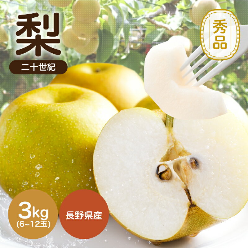 【ふるさと納税】 梨 二十世紀 滴る程に ジューシーな 梨 長野県産 なし 二十世紀 約3kg 秀品 〈2025年9月上旬〜9月末発送〉| 果物 くだもの フルーツ なし 梨 二十世紀 長野県 信州 南信州 飯田市 B27