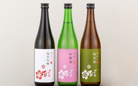 《定期便》純米吟醸･吟醸･純米酒 華やか＆やや辛口日本酒3本【12回お届け】