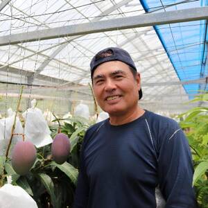 【2026年6月から順次発送・贈答用】やんばるフルーツ園のアーウィンマンゴー1.5kg(4～5玉)【配送不可地域：離島】【1696061】