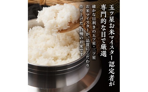 R8年産 新潟県産 コシヒカリ  2kg 6か月定期便 新潟県 新潟市産 令和8年産 お米 精米 米 ご飯 送料無料