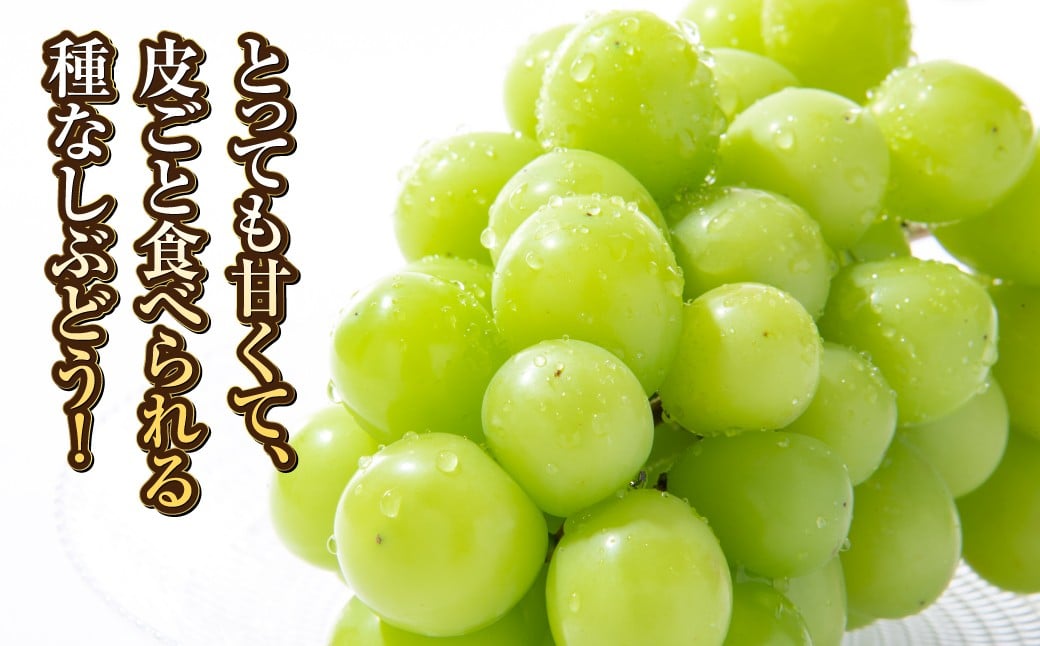シャインマスカット 2～3房（合計約1.3kg）