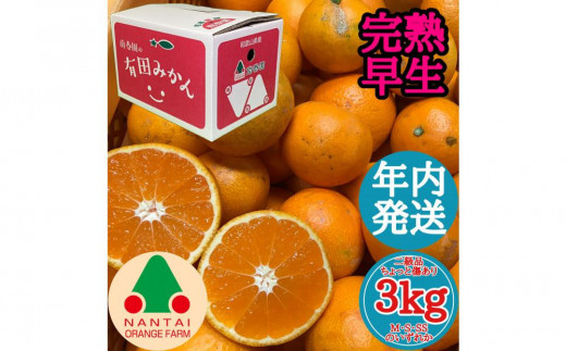 
                  年内発送 ちょっと 傷あり 完熟早生 有田みかん M ～ SS サイズ 3kg 和歌山 南泰園 みかん
                