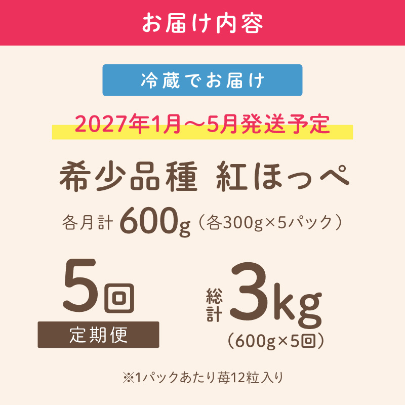 【2027年1月～5月発送予定】【いちご本来の甘酸っぱさを味わう】定番人気 紅ほっぺ 約600g（約300g×2パック×1箱）5ヶ月定期便 ※お届け不可地域あり【121B-006-2027】
