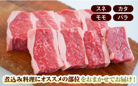 【全3回定期便】佐賀牛 至福の切り落としと煮込み肉食べ比べ 計2.7kg（900g×3回） / 牧場直送 黒毛和牛 小分け / 佐賀県 / 有限会社佐賀セントラル牧場 [41ASAA230]