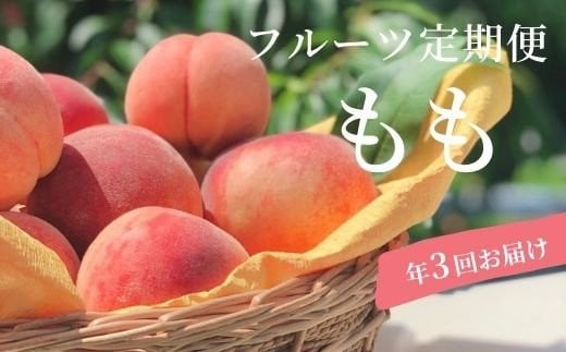 
            No.1621厳選！福島の桃 3種定期便 各約2kg【2025年発送　先行予約】
          