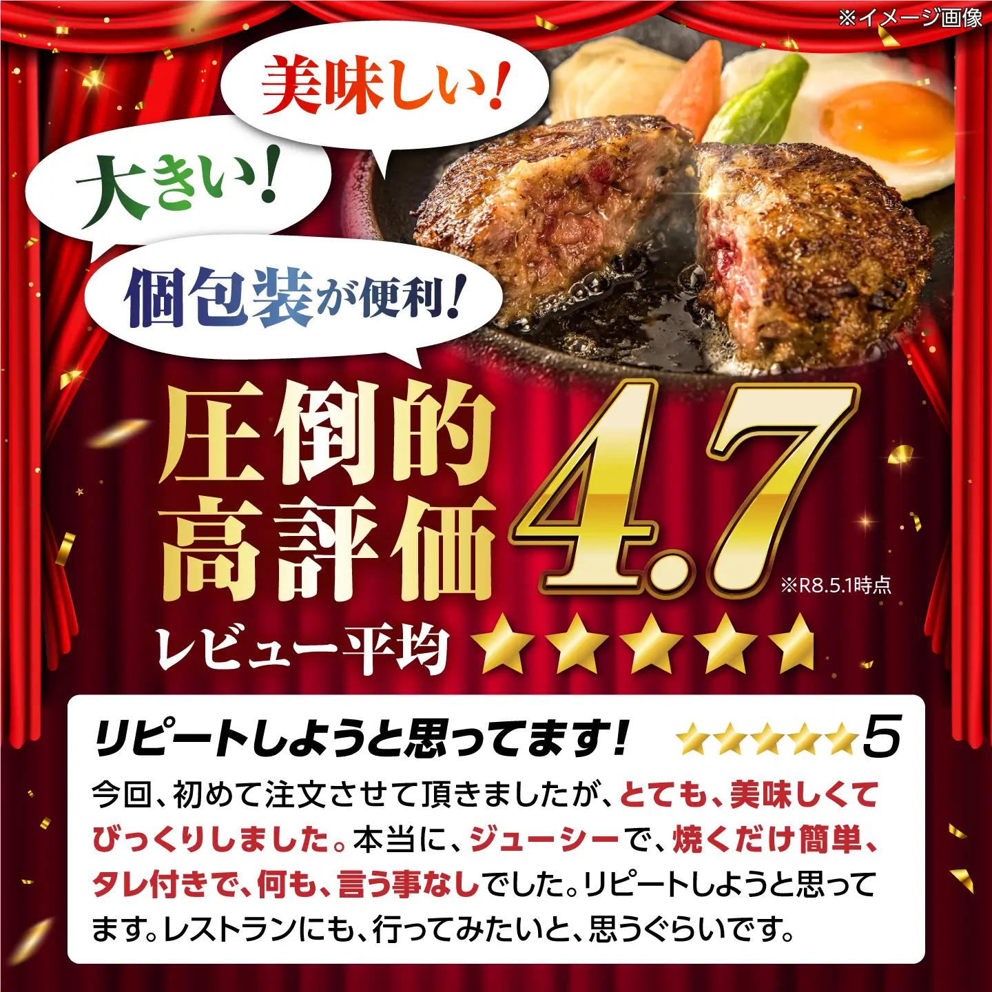 ハンバーグ6個  宮のタレセット [AQAM001] 冷凍 ハンバーグ