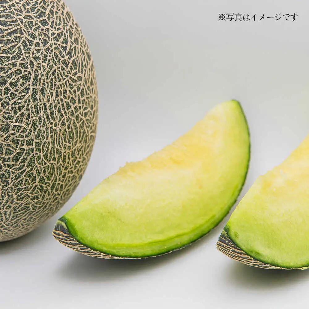 【先行予約】肥後グリーンメロン 約4kg(2玉入) メロン グリーンメロン フルーツ 熊本県産 【日本フルーツ株式会社】 [ZFJ004]
