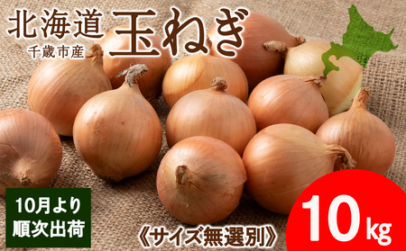 【先行予約】玉ねぎ 10kg 無選別サイズ 北海道 千歳市産 【假屋フードブリッジ】