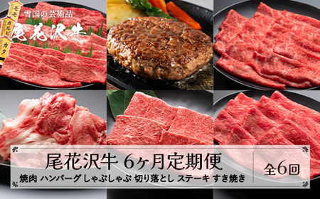 【定期便 全6回】山形県産 黒毛和牛 焼肉 ハンバーグ しゃぶしゃぶ ステーキ すき焼き 切り落とし 山形牛 尾花沢牛 お肉 国産 牛肉 山形県 尾花沢市 nj-tkogx6