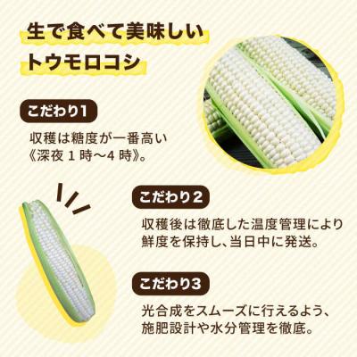 ふるさと納税 糸島市 糸島産 トウモロコシ「もきっこ」白(10本前後)糸島市/内田農業[AZH002] |  | 01