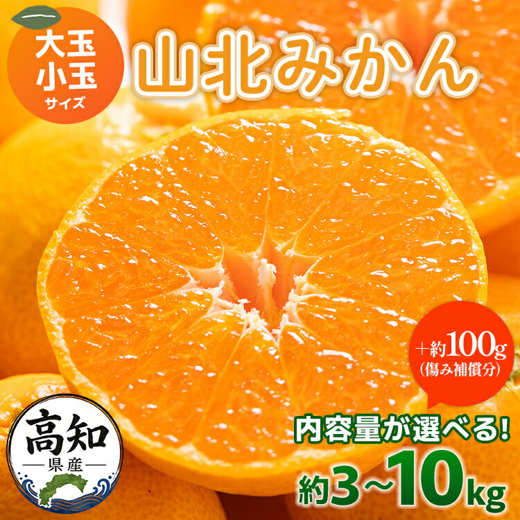 【ふるさと納税】【選べる内容量】山北みかん（小玉/大玉サイズ）約3kg/約5kg/約10kg - 先行予約 数量限定 大容量 果物 フルーツ 柑橘 温州みかん ミカン 蜜柑 甘い おいしい 美味しい 糖度 贈答 山北みらい 5キロ 箱買い 高知県 香南市【常温】 Ryk-0034