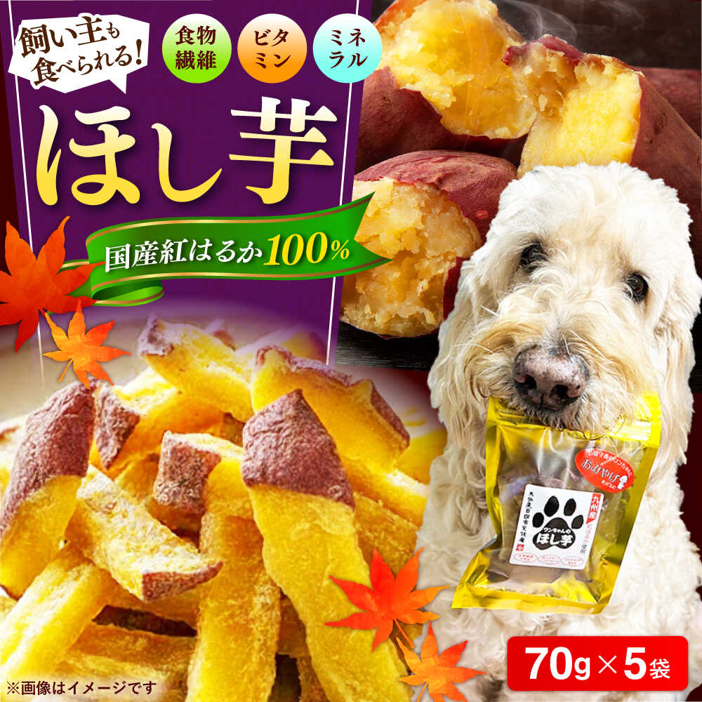 【ふるさと納税】【自然な甘みと歯ごたえ】ワンちゃんの干し芋70g×5袋セット　日田市 / 日本農林産食品製造株式会社 ほしいも 干しいも さつまいも[ARFV005]