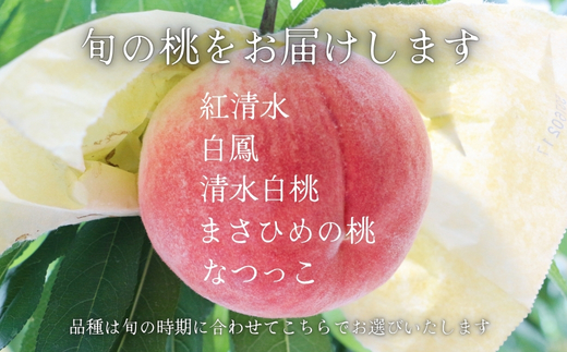<2026年7月中旬頃から順次発送>小山田の桃(9~12個)モモ 桃 もも ※発送前の注意事項を十分ご確認ください※|こだわりの逸品 地域特産品 ギフト 自分用 人気 おすすめ_イメージ5