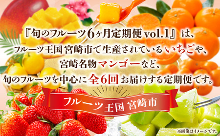 旬のフルーツ6ヶ月定期便vol.1 旬 フルーツ 果物