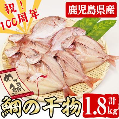 ふるさと納税 志布志市 数量限定!【祝!創業100周年】めでたい!志布志湾天然桜鯛の干物 計1.8kg(5〜7匹前後)