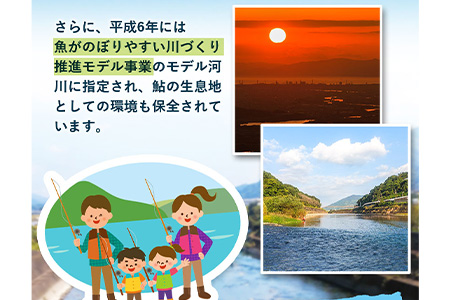 紀ノ川漁業協同組合鮎遊漁証 鮎入漁券 年間 2022年分 体験型返礼品 コト消費 釣り 鮎 あゆ アユ 遊漁券 入漁券 《7月上旬-8月末頃出荷》 紀ノ川漁業協同組合 和歌山県 紀の川市 送料無料---iwsk_gkkayuckt_af7_22_40000_1d---