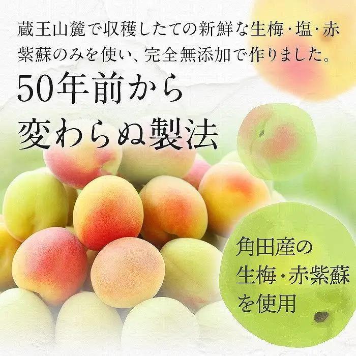 【先行予約】梅干し 宮城県角田産 無添加 まごころ手作り梅干し(270g)・練り梅(160g)１セット【10月上旬以降順次発送】｜梅干し 練り梅 パウチ