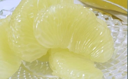 吉本農園 土佐文旦 4kg 訳あり文旦