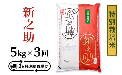 B7-ST053C【3ヶ月連続お届け】長岡産新之助5kg（特別栽培米）