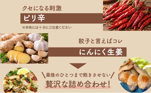 北海道産鶏肉を使った手羽餃子【北の手羽ぎょうざ】15個セット(5個×3袋)≪配送地域限定≫【53101】