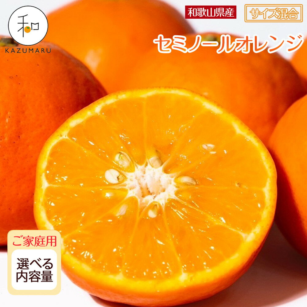 【ふるさと納税】［先行予約］家庭用 森本農園の手選別 セミノールオレンジ 4.5kg～10kg 和歌山県産 サイズ混合 ［北海道・沖縄・離島配送不可］ | みかん 蜜柑 フルーツ 果物 くだもの 食品 人気 おすすめ 送料無料
