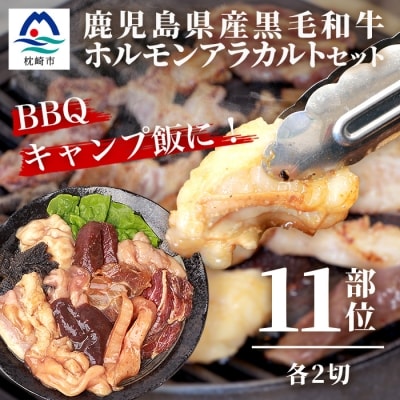 鹿児島県産黒毛和牛 ホルモン アラカルトセット 食べ比べ11部位 焼肉屋店主こだわり A3-203【配送不可地域：離島】