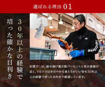Y285 【蟹セレブ】タグ付き活〆ボイル・松葉がに（大・800ｇ前後）