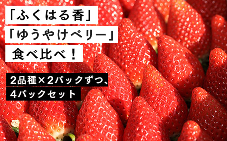 【２月発送開始・数量限定】伊賀いちご園のレギュラーパック4P（280g/パック×4パック） - イチゴ ストロベリー strawberry  ふくはる香 ゆうやけベリー【1800701】