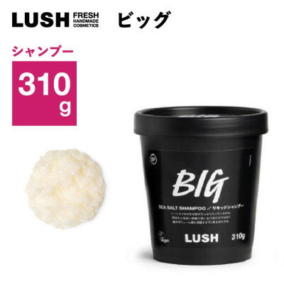 【ふるさと納税】LUSH ラッシュ ビッグ リキッドシャンプー 310g スカルプケア シーソルト_ LUSH ラッシュ シャンプー リキッド BIG スカルプケア シーソルト コスメ ヘアケア 美容 人気 おすすめ 送料無料 【1640981】