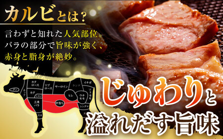 長崎和牛 焼肉用 カルビ 約500g 肉 お肉 牛肉 赤身 和牛 焼肉 BBQ 東彼杵町/黒牛 [BBU010] / 焼肉 カルビ 牛肉 赤身 和牛 焼肉 焼肉 カルビ 牛肉 赤身 和牛 焼肉 焼肉 