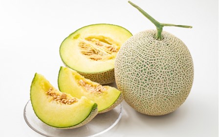 《先行予約 2024年度発送》ぎゅっと肉厚！山形のおいしいメロン【青肉】 FSY-0118