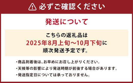 JAふくおか嘉穂 いちじく とよみつひめ 秀品 300g（3～5玉）×4パック 計1.2kg