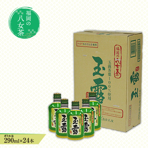 福岡の八女茶　玉露ボトル缶(290g)×24缶　CZ002