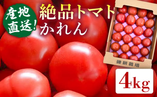 【産地直送！】糸島産 絶品 トマト かれん (4kg 28玉 前後) 　糸島市 / シーブ [AHC019] 大玉トマト トマト とまと 野菜 やさい 甘い