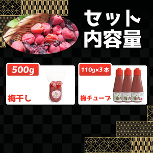 小梅干し 500g 1袋 梅肉チューブ 110g 3本 詰め合わせ 《 2025年11月から順次発送予定》 梅干 梅肉 梅干 梅肉