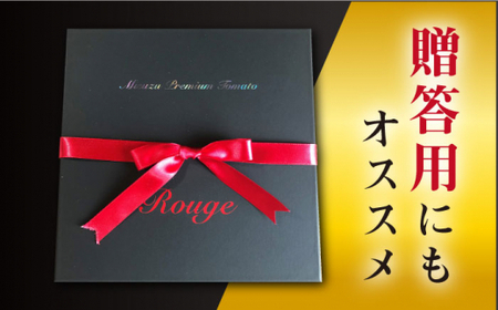 【先行予約】高糖度 トマト ミスズプレミアム トマト 「ルージュ」 約1kg（9個） ＜株式会社ミスズアグリ西海＞ [CFN001] トマト ﾄﾏﾄ とまと フルーツトマト ﾄﾏﾄ こだわりトマト ﾄ