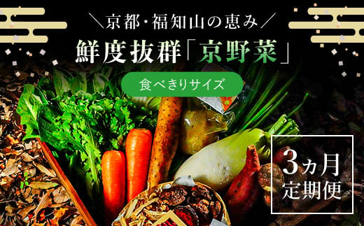 
【3ヵ月定期便】鮮度抜群「京野菜」　食べきりサイズ詰合せ ふるさと納税 京野菜 野菜 新鮮 食べきり 詰合せ 定期便 3か月 京都府 福知山市
