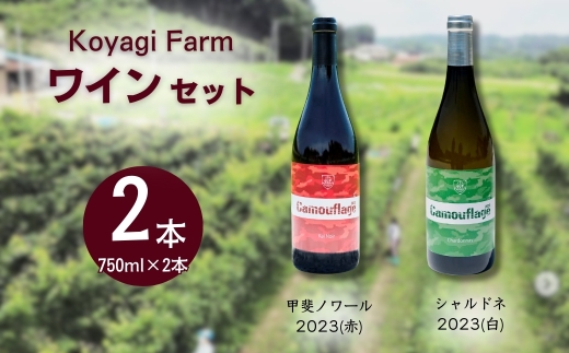 【ワイン】 2本セット 甲斐ノワール2023 (赤)  ＋ シャルドネ2023 (白)  | 赤ワイン 白ワイン 国産 日本ワイン お中元 お歳暮 母の日 父の日 プレゼント ギフト 贈り物 福島 南相馬 cj002-ad