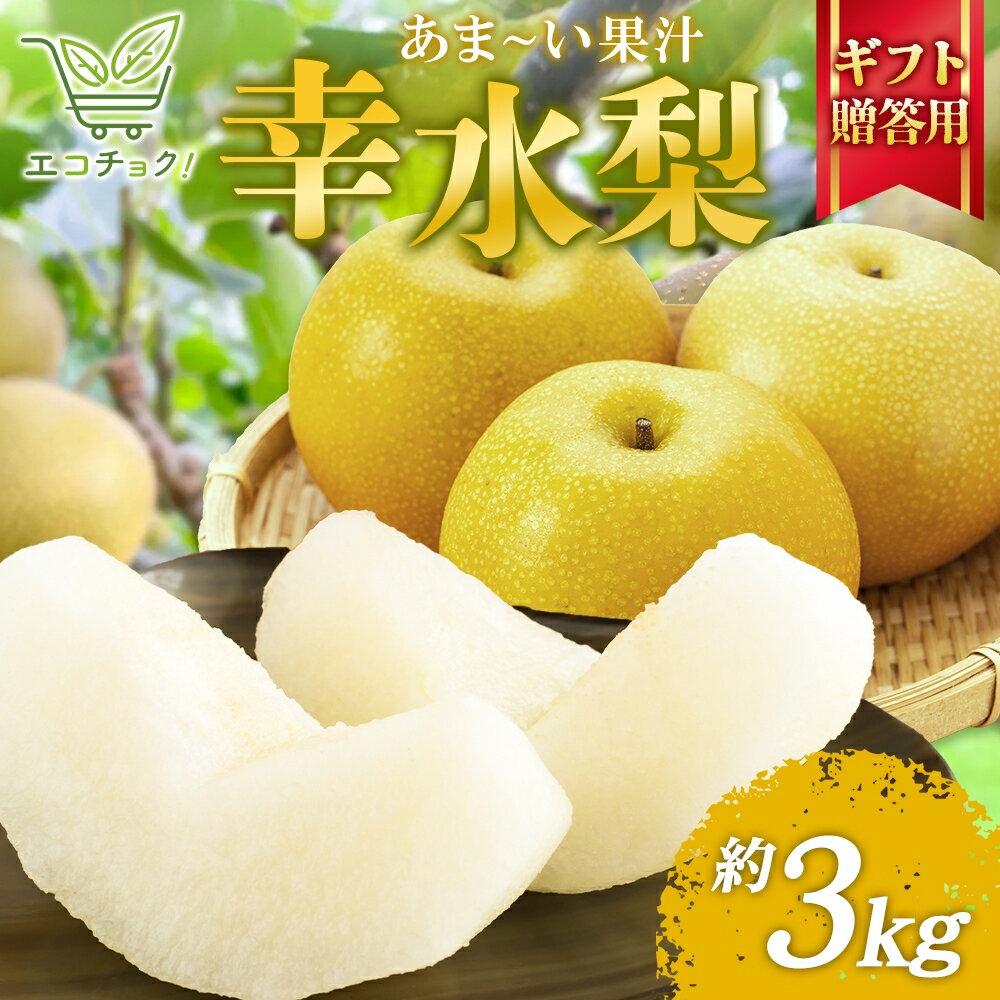 【ふるさと納税】2026年先行予約 エコチョク 幸水 贈答用 3kg 梨 なし 果物 くだもの 青果 フルーツ 旬 えこちょく しゃきしゃき シャキシャキ 旬 旬の果物 常温 贈答品 プレゼント 贈り物 お祝い 産地直送 果汁 お取り寄せ お取り寄せフルーツ 送料無料 千葉県 松戸市