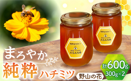 【12/22までの決済で年内発送】純粋ハチミツ 野山の花 300g×2 瑞浪市 / honey shop Bee farm asano 蜂蜜 はちみつ [AZBT004]