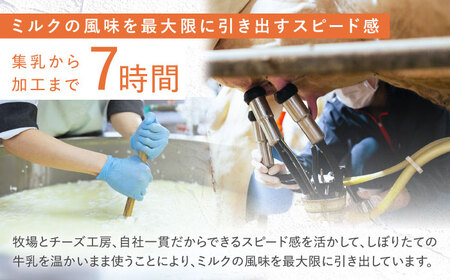 【先行予約】【3回定期便】ナカシマファームの人気チーズ３種セット【ナカシマファーム】 [NAJ110] チーズ チーズセット チーズ食べ比べ 