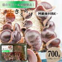 【ふるさと納税】 南小国産 肉厚 生きくらげ 140g 5パック 700g きくらげ キクラゲ 生 国産 低カロリー 栄養満点 熊本 阿蘇 南小国町 送料無料