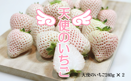 【先行予約】R9年1月中旬頃出荷開始 佐賀県産いちご 天使のいちご 240g X 2パック いちご 果物 B120-065