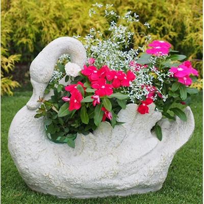 ふるさと納税 朝倉市 季節のお花寄せ植え(白鳥型鉢)
