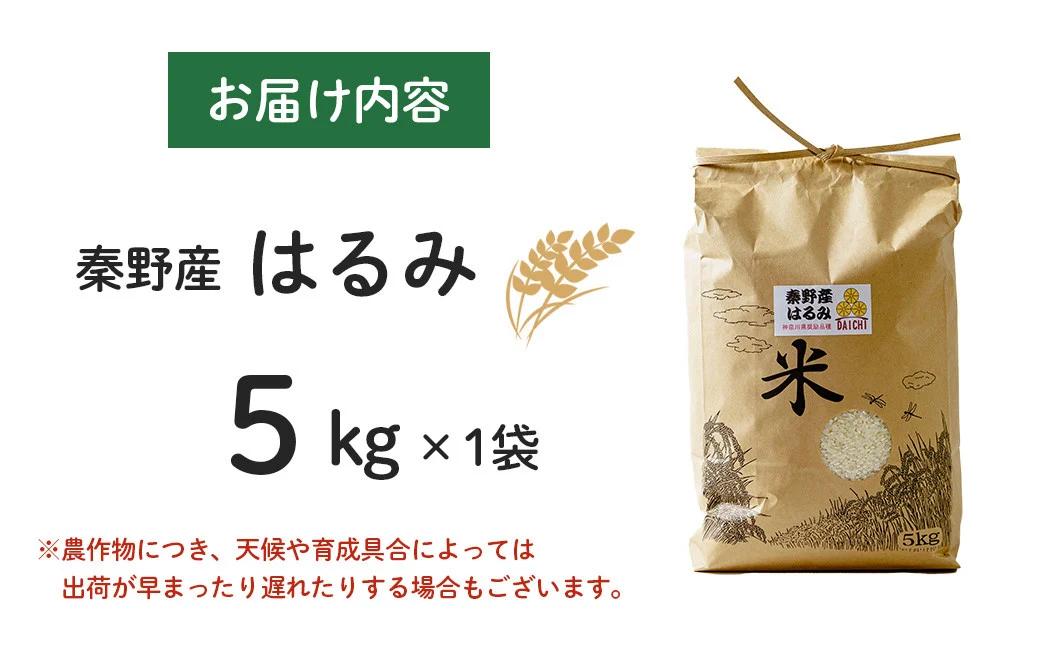 【令和7年新米】秦野のお米「はるみ」5kg（10月～順次発送）| 神奈川県産 秦野市 大地 5kg 5キロ 米 こめ コメ お米 白米 精米 お取り寄せ 贈答 人気 ランキング ごはん ご飯 贈り物 