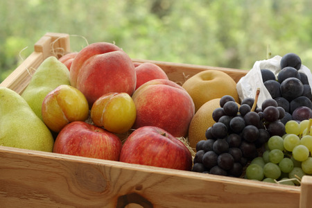 大盛 季節 の フルーツ 詰合せ ( 9月分 ) 10kg フルーツ 果物 山形 08-03-036