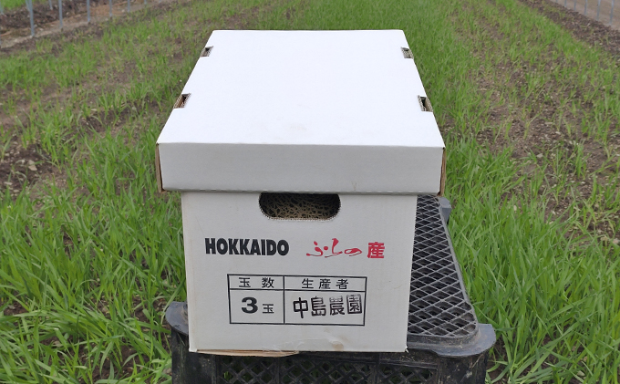 【2024年7月～発送】北海道 富良野市 ふらの赤肉 メロン 2kg×3玉 (中島農園) メロン フルーツ 果物 新鮮 甘い 贈り物 ギフト 道産 ジューシー おやつ ふらの ブランド 夏