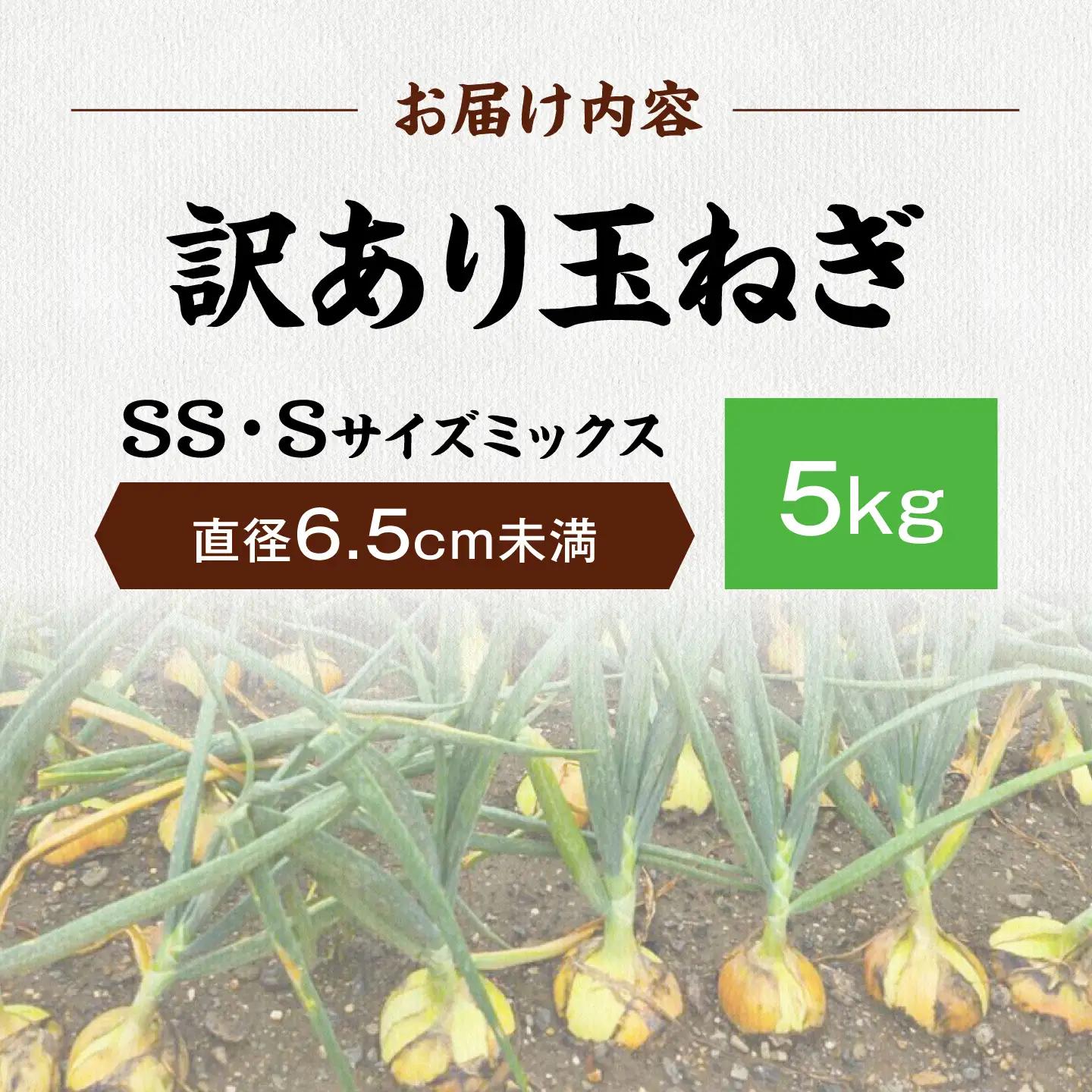 【訳あり】玉ねぎ5kg SS・Sミックス [AQDZ001]玉ねぎ